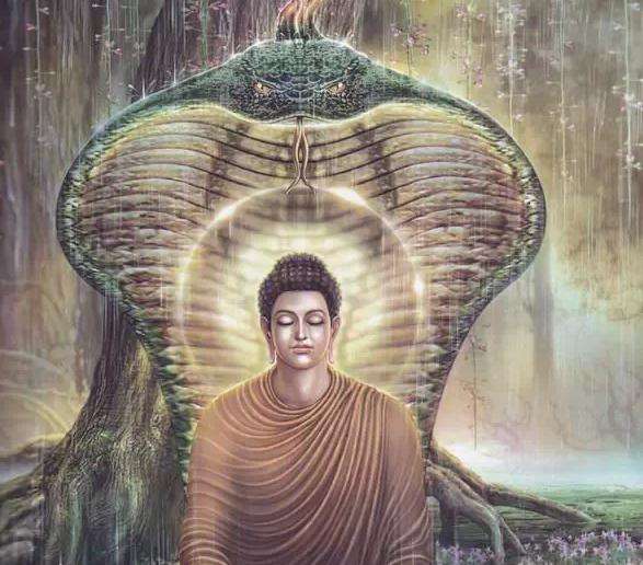 \